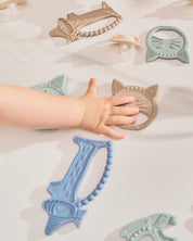 Gryzak Luuisa The Cat Sand Storm