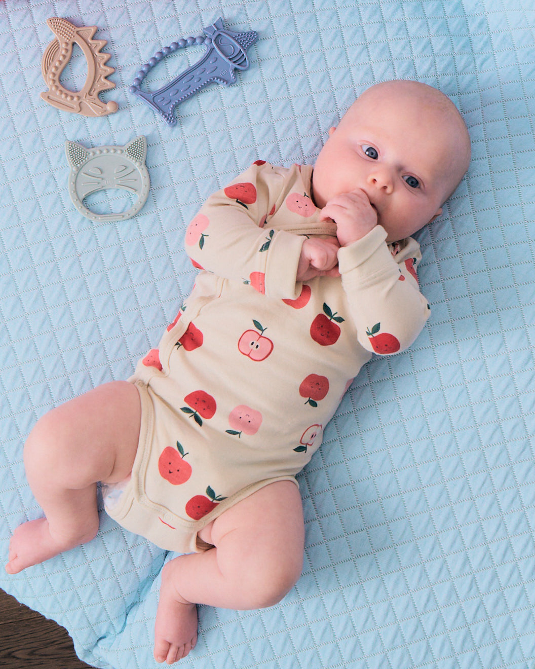 Gryzak Ollie The Dragon Sand Storm